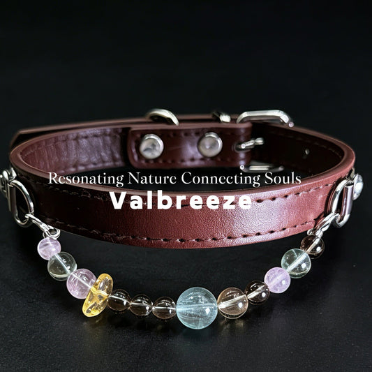 Valbreeze Earthy Guardian 5-Crystal Healing Vegan Leather Dog Collar