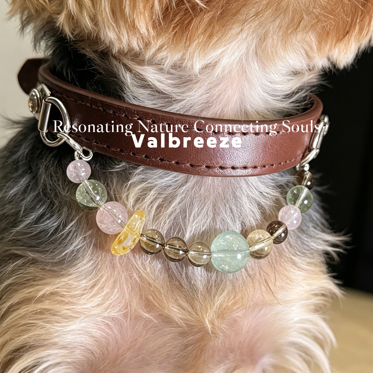 Valbreeze Earthy Guardian 5-Crystal Healing Vegan Leather Dog Collar