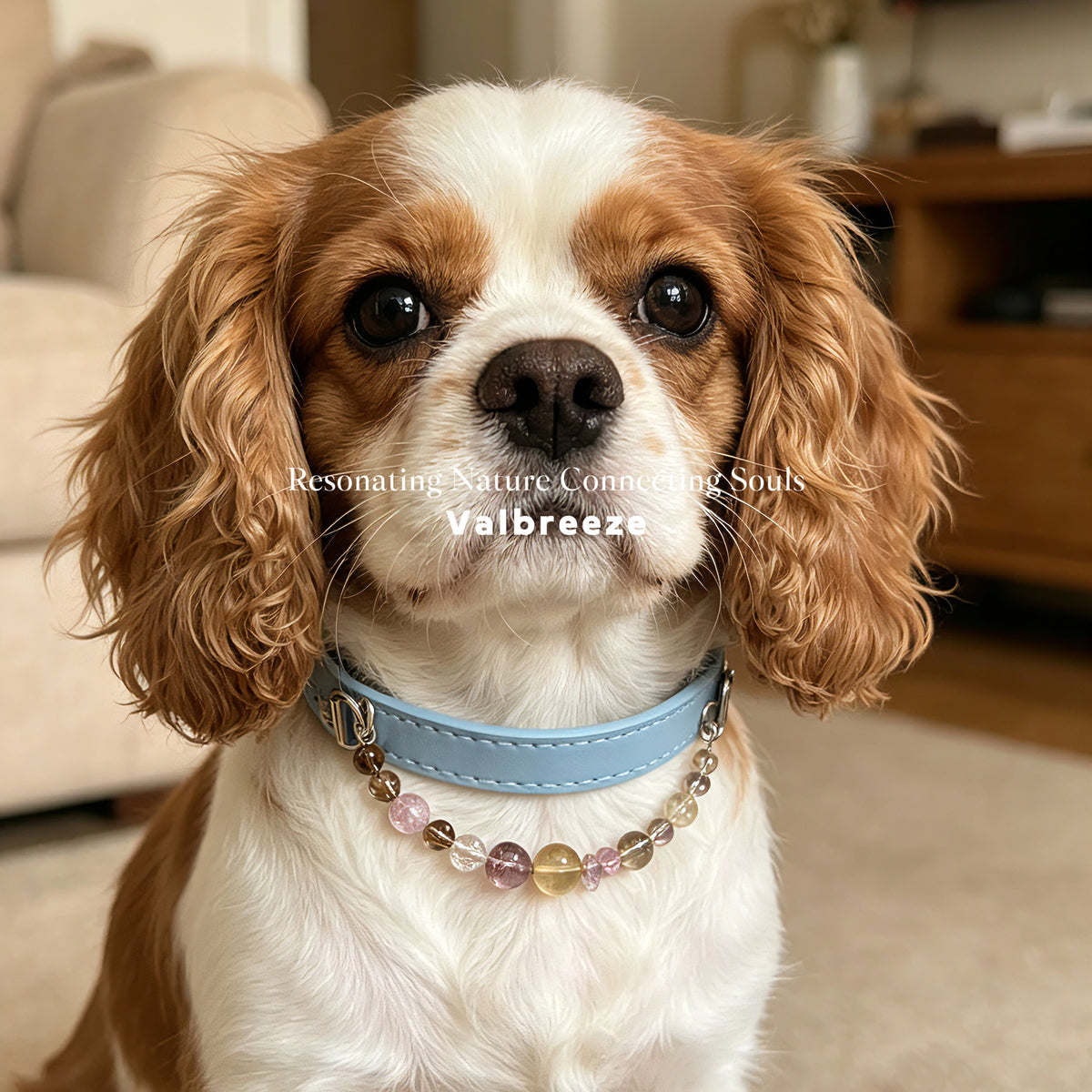 Valbreeze Crystal Healing Pet Energy Crystal Dog Collar - Blue Guardian